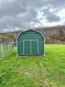 Green metal shed in backyard