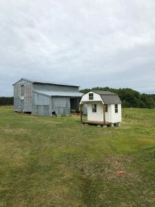 Little white shed with porch in field