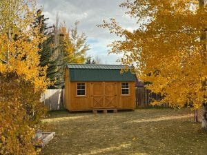 shed with autumn background